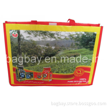 Promotional PP Non Woven Shopping Bag (NSBG09-030)